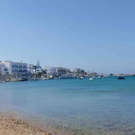 New Cycladic House ¨agroktima Katerina¨ Holiday home
