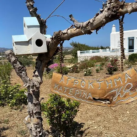 Holiday home New Cycladic House ¨agroktima Katerina¨ *